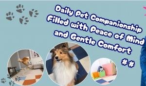 New Daily Pet Companionship Solutions Aim to Reduce Anxiety and Enhance Home Comfort