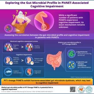 Chinese Neurosurgical Journal Highlights Gut–Brain Axis in Pituitary Tumor–Related Cognitive Decline